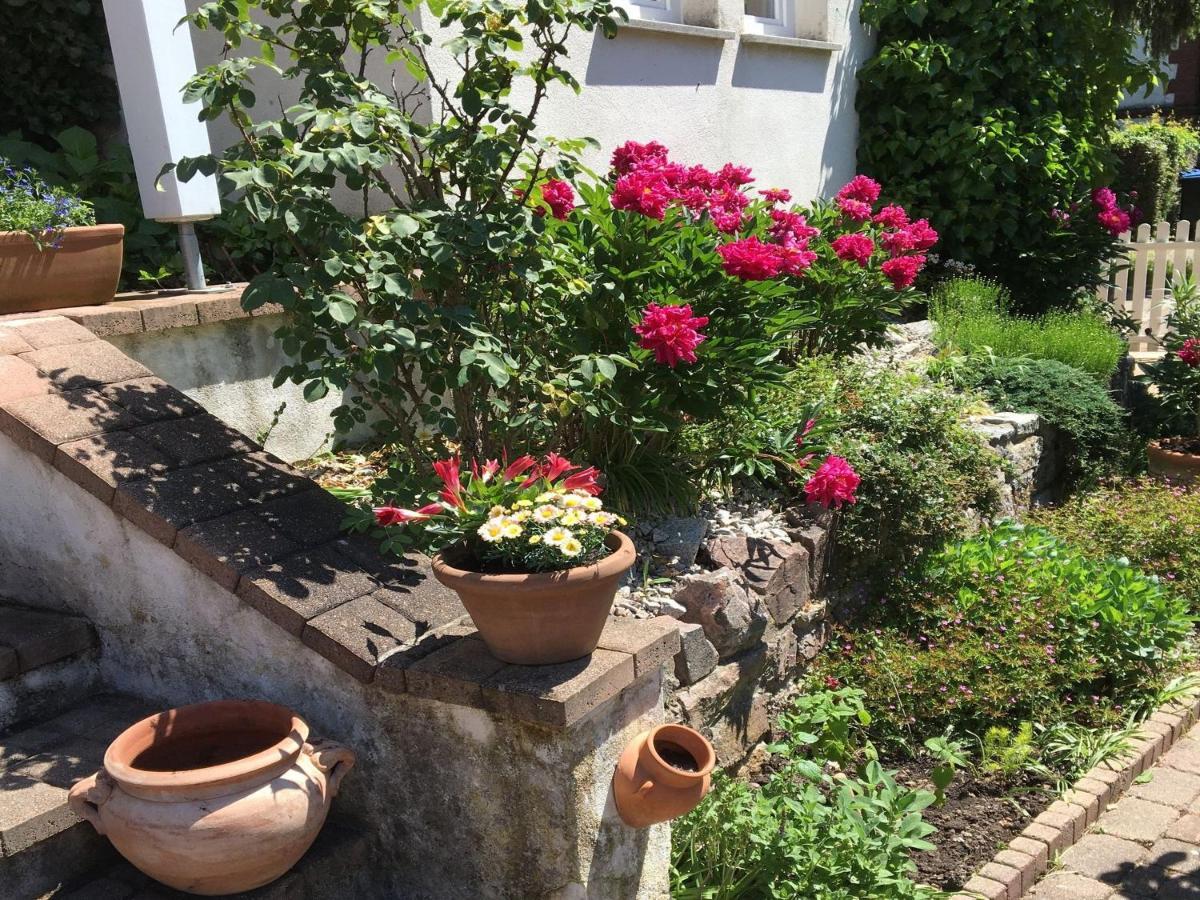 Ferienwohnung Dashaus Rheinfelden  Zewnętrze zdjęcie